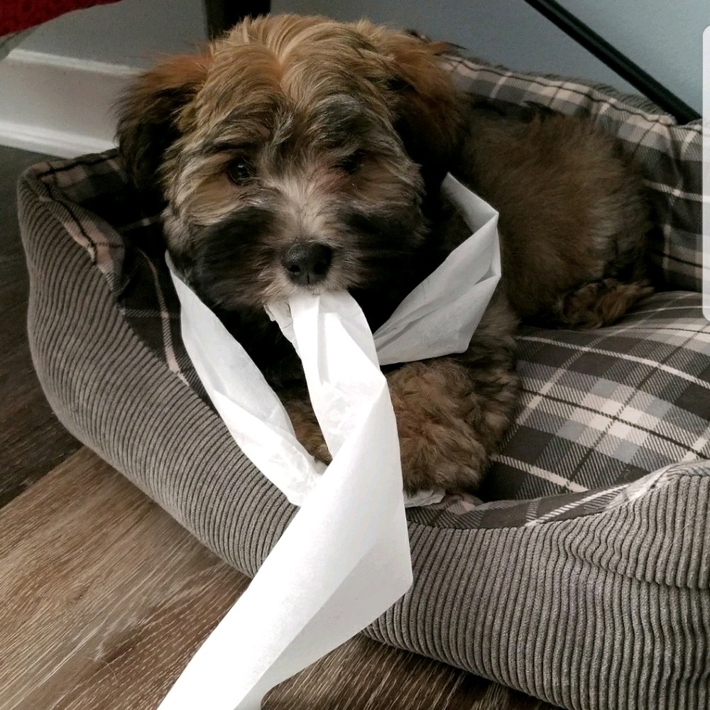 Meet your Posher, Sharon